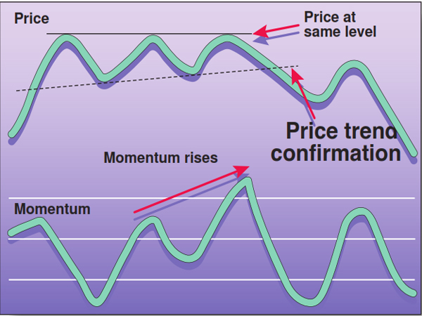 Reverse Divergences And Momentum