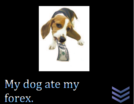 My dog ate my Forex