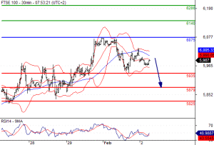 forexnews254