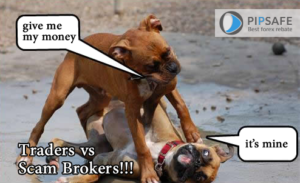 traders vs scam brokers