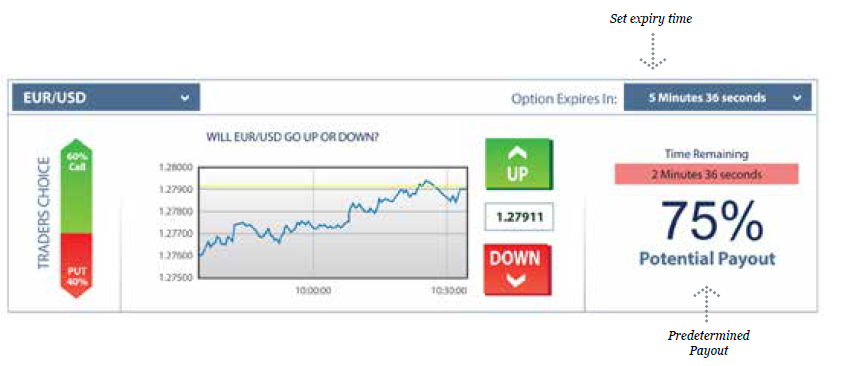 Binary options definition
