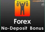 Forex no deposit bonus no verification