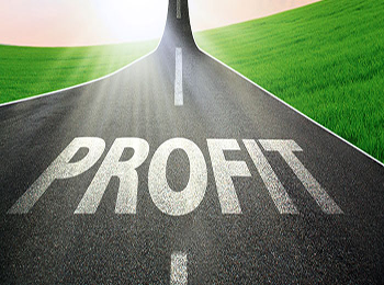 Strategies to achieve a profit in the Forex