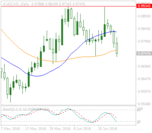 Forex Market Report