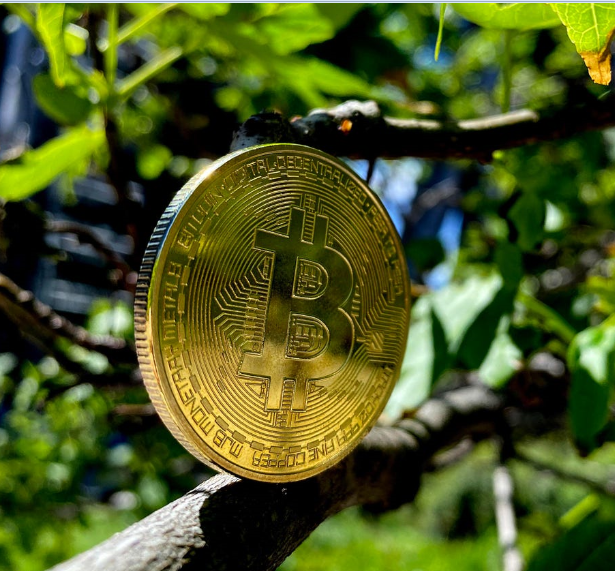 Latest Bitcoin news