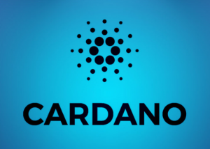 Cardano's Djed will be available soon.