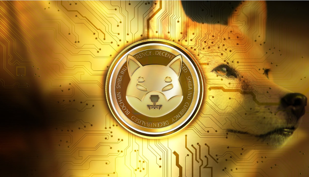 Long-Term Holders of Shiba Inu Are on the Rise.