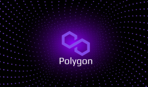 Polygon Is Insecure and Centralized, According to the Crypto Investments Fund Founder.