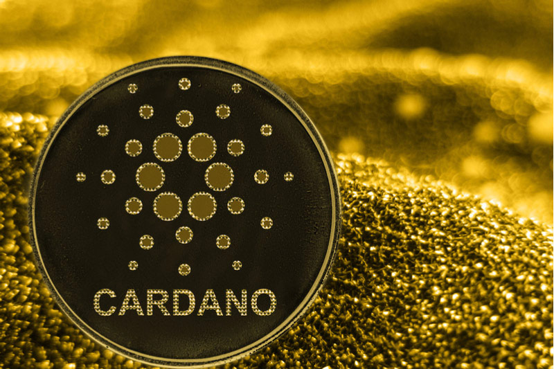 What Are the Capabilities of the Cardano Software Toolkit?