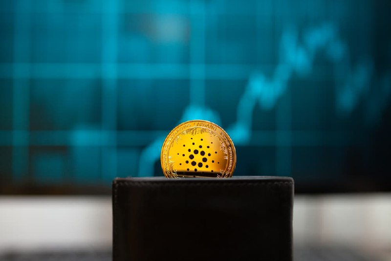 What Is Behind the Growth of Cardano Token?