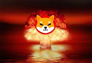 Will Dogecoin Killer Continue to Grow?