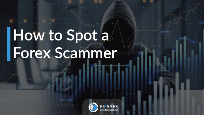 How to Spot a Forex Scammer
